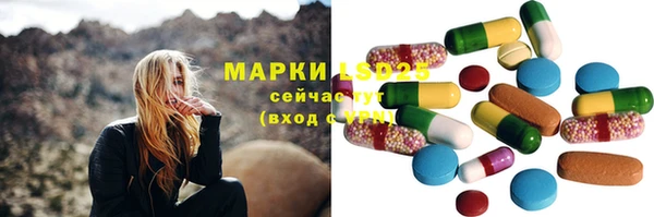 индика Алзамай