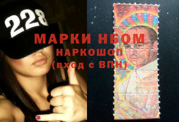 индика Алзамай