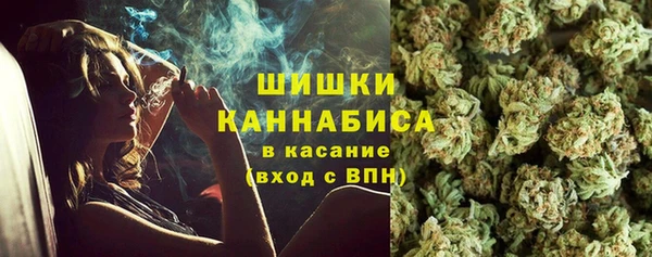 индика Алзамай