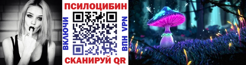 это как зайти  сколько стоит  Новопавловск  Псилоцибиновые грибы ЛСД 